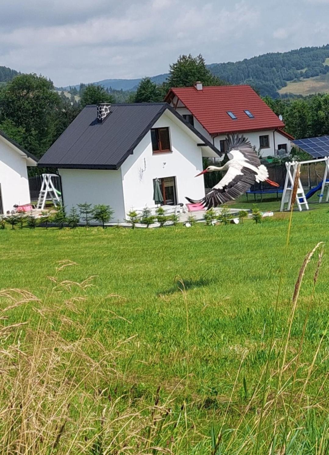 Domek Pod Holica 2 Bieszczady 우스트르치키 돌네 외부 사진